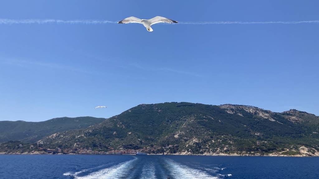 vista--traghetto--Hotel-Arenella-Giglio