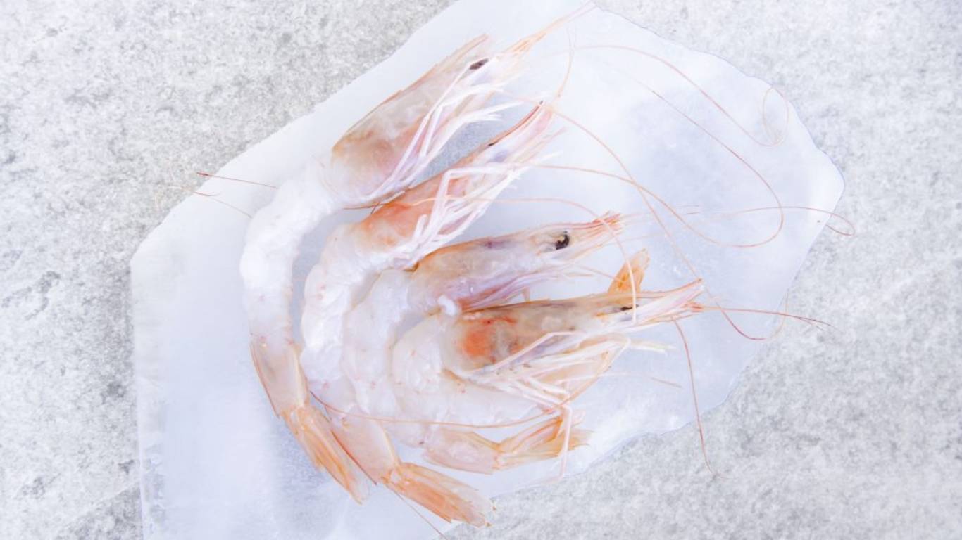 Hotel-Arenella-Giglio-Ristorante-079--DSC9349-1024x819