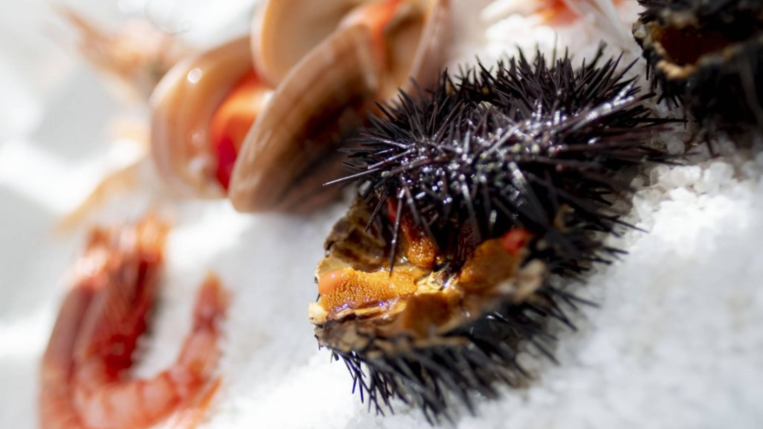 Hotel-Arenella-Giglio-Ristorante-071--DSF4340-1024x819