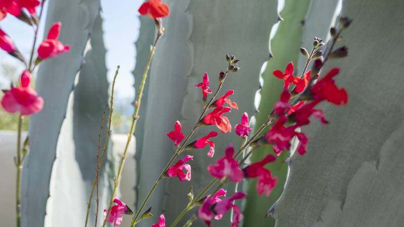 Comfort-plus-039--DSF2596-scaled